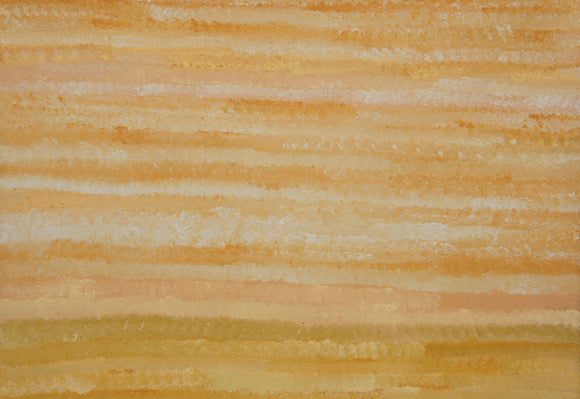 Ruth Spencer's - Goanna Dreaming
