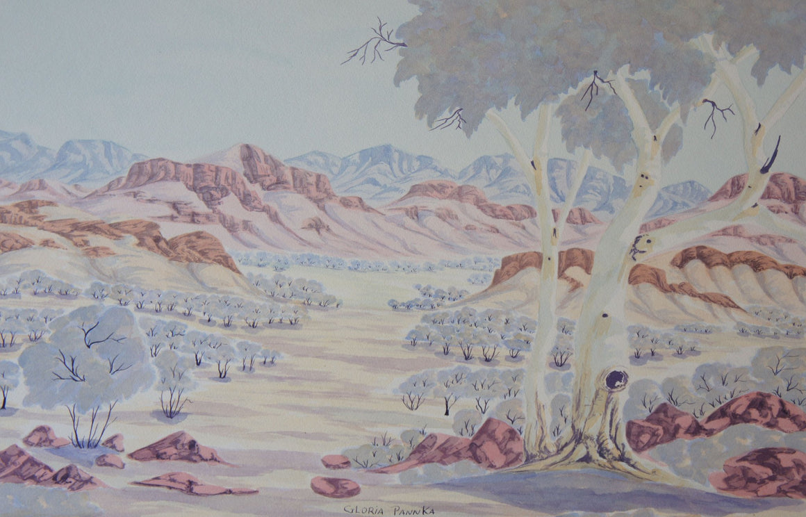 West MacDonnell Ranges-seen from the North