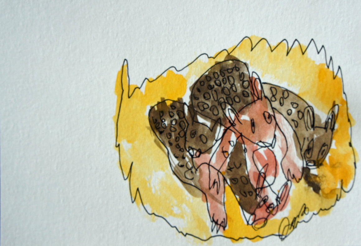 Conway Ginger, The Gallery Shop, by, Sydney, Aboriginal Art
