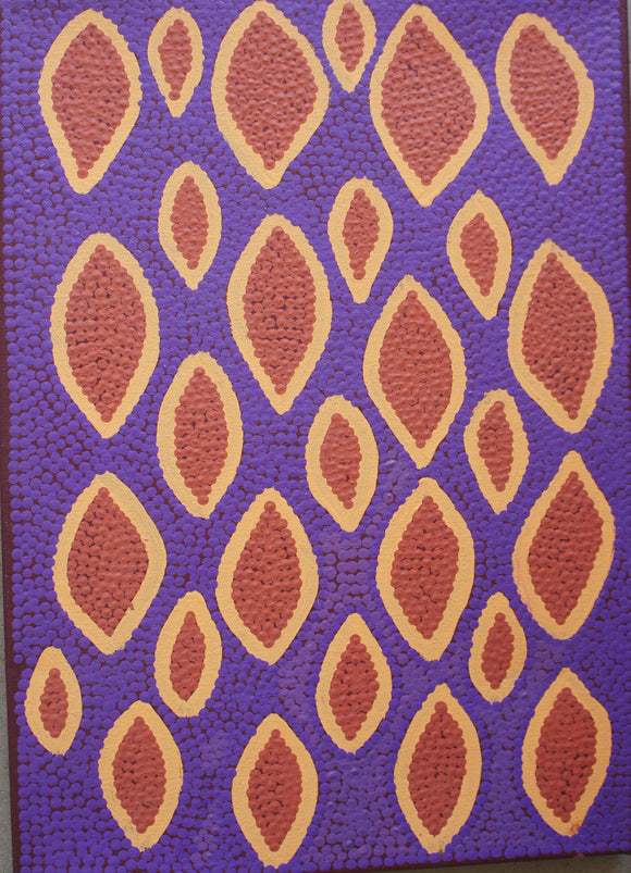 The Gallery Shop, aboriginal art, Nancy Disckson
