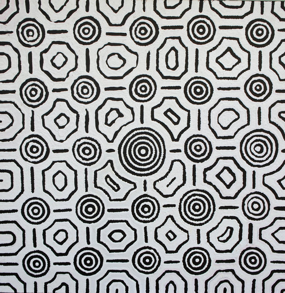 Sarah White's - Bush Onion Dreaming