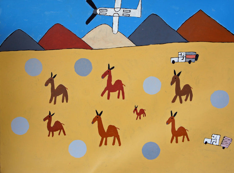 Kumanara Barney's - Flying over Country