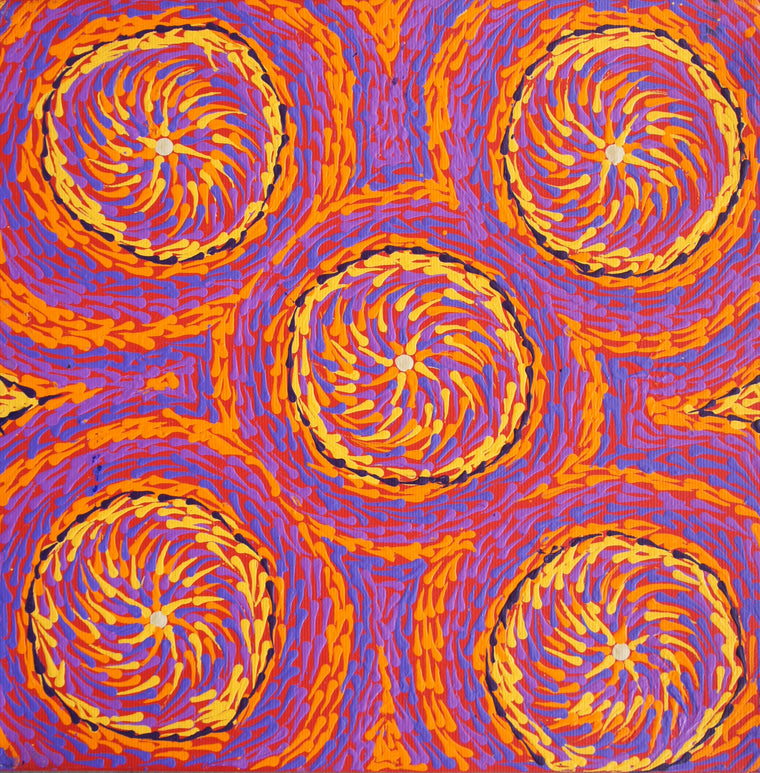 Anna Penhall's - Honey Ant Dreaming