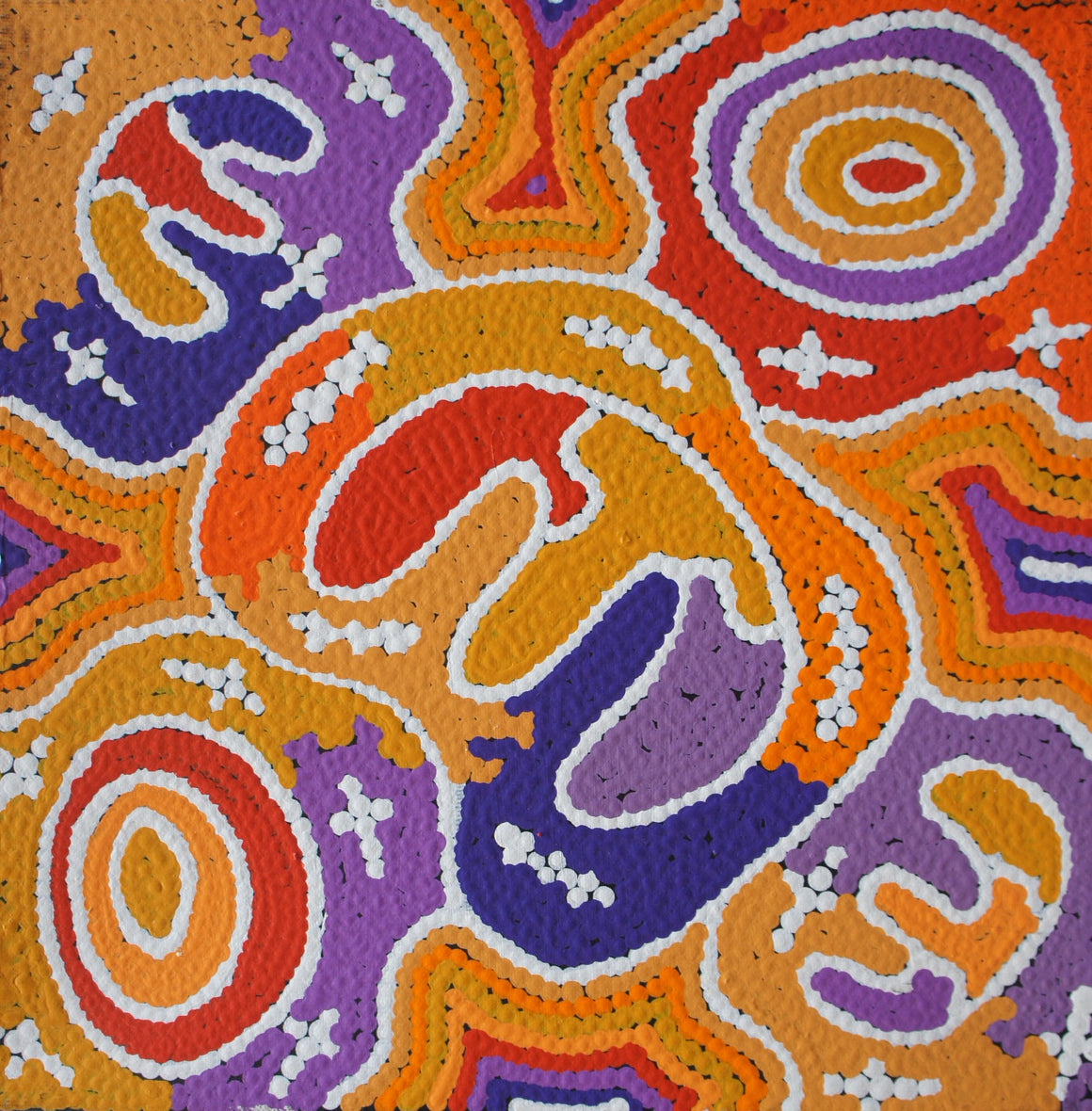 Judith Martin's - Brush-tail Possum Dreaming