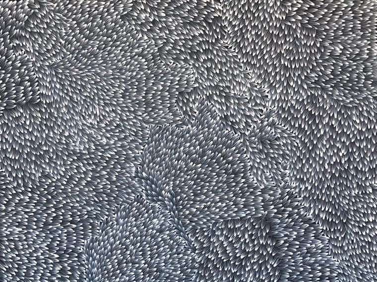 Abie Loy Kemarre's - Bush Medicine Leaf