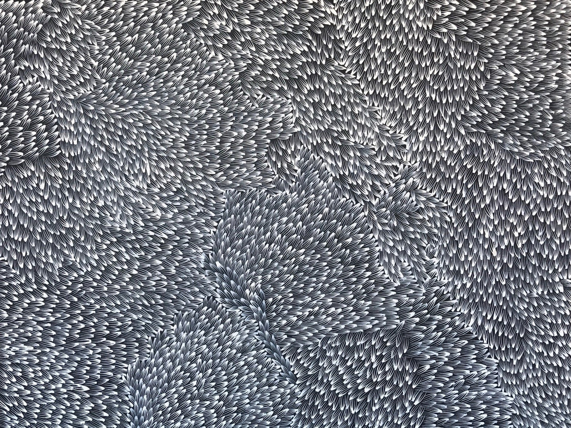 Abie Loy Kemarre's - Bush Medicine Leaf