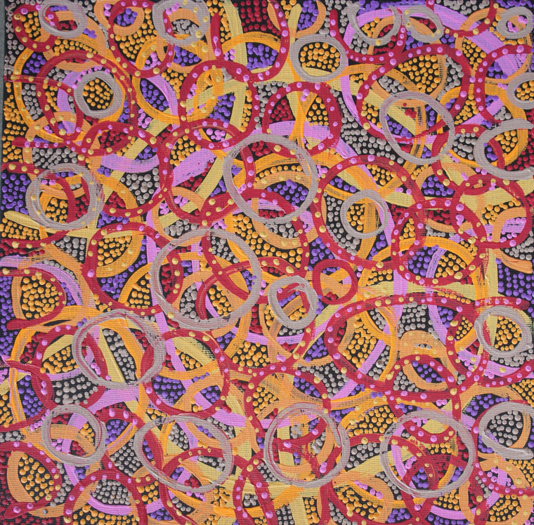 Selma Tasman's - Bush Tomato Dreaming