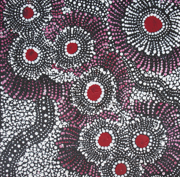 Wendy Brown's - Seven Sister Dreaming
