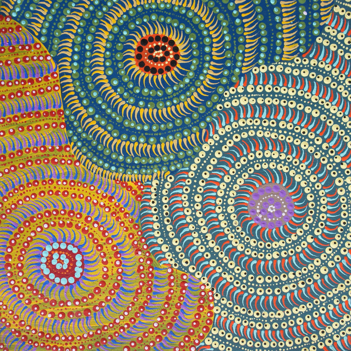 Tanya Collins's - Seed Dreaming