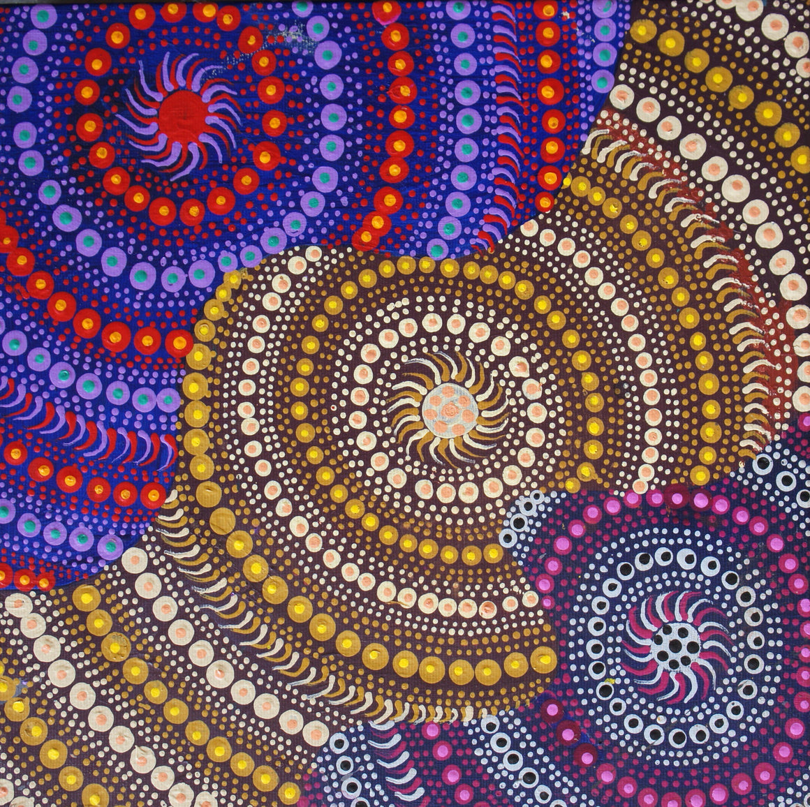 Jill Watson's - Snake Vine Dreaming