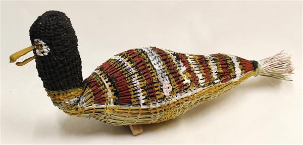 Tony Cameron's - Pacific Black Duck