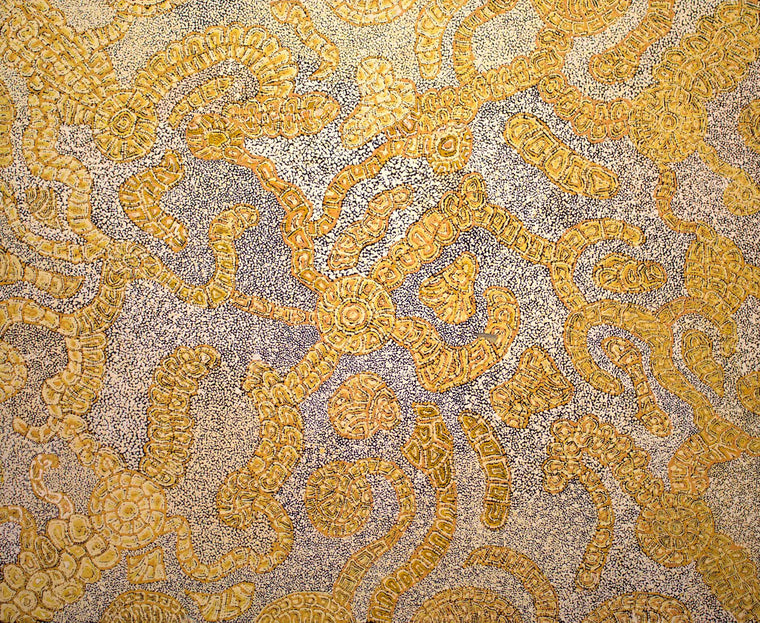 Katrina Tjitayi's - Honey Grevillea