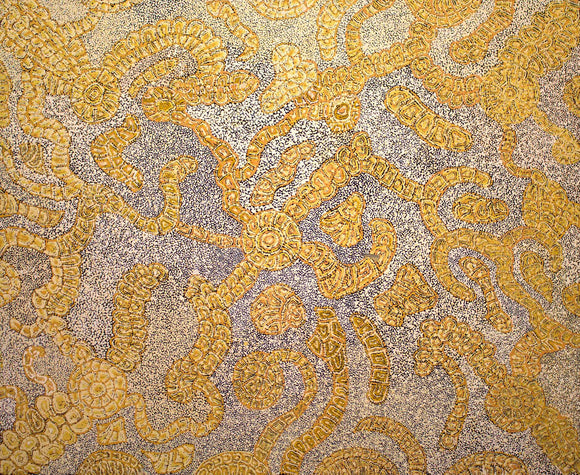 Katrina Tjitayi's - Honey Grevillea