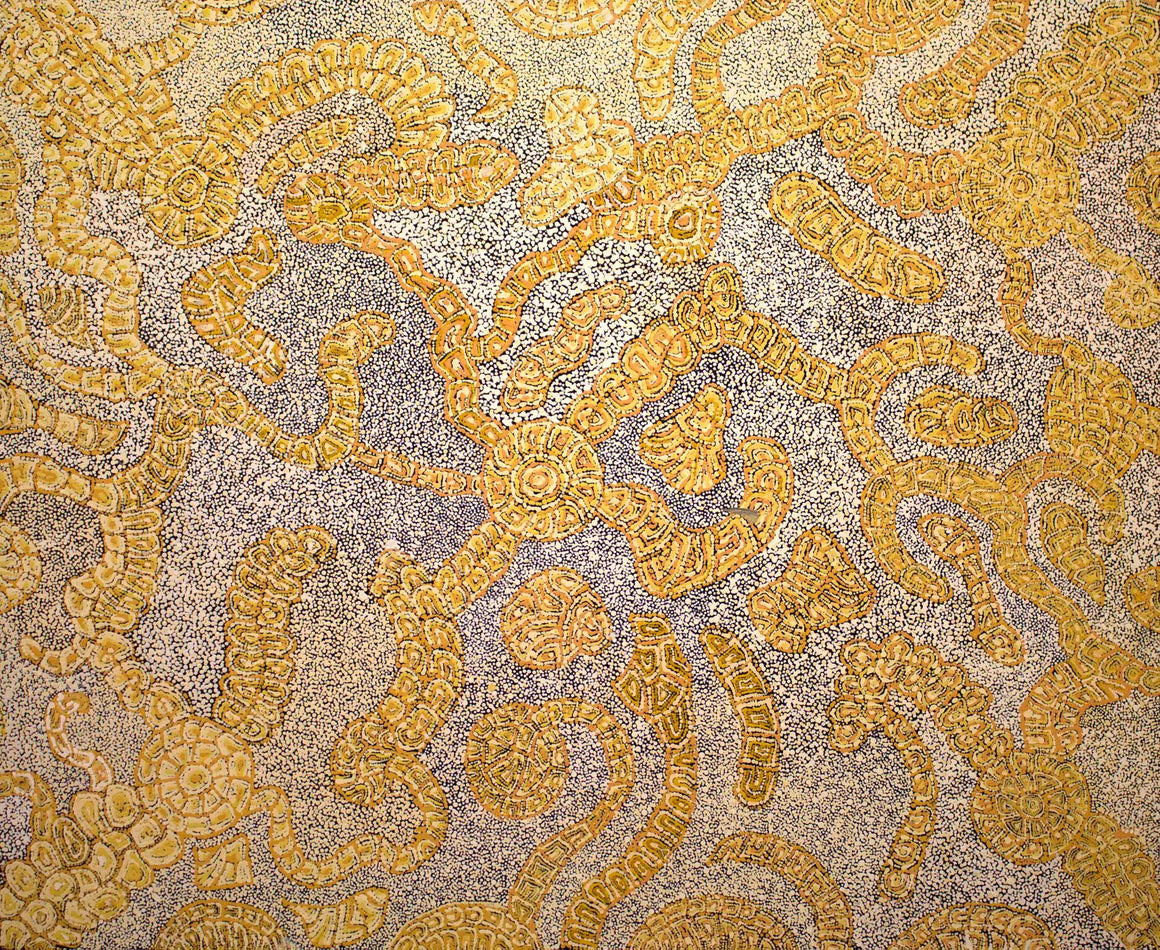 Katrina Tjitayi's - Honey Grevillea