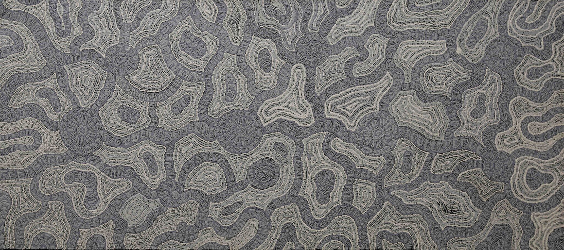 Katrina Tjitayi's - Honey Grevillea