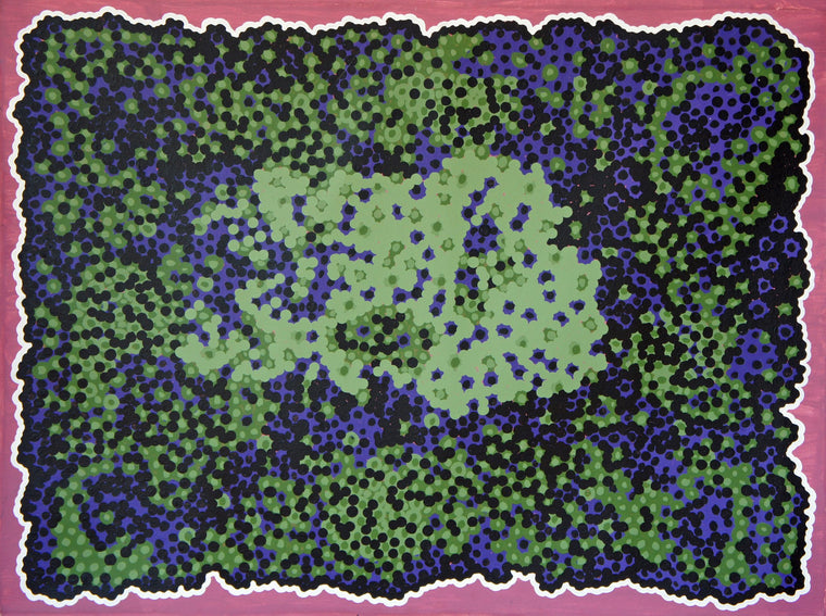 Claude Carter's - Girndi Bush Plum