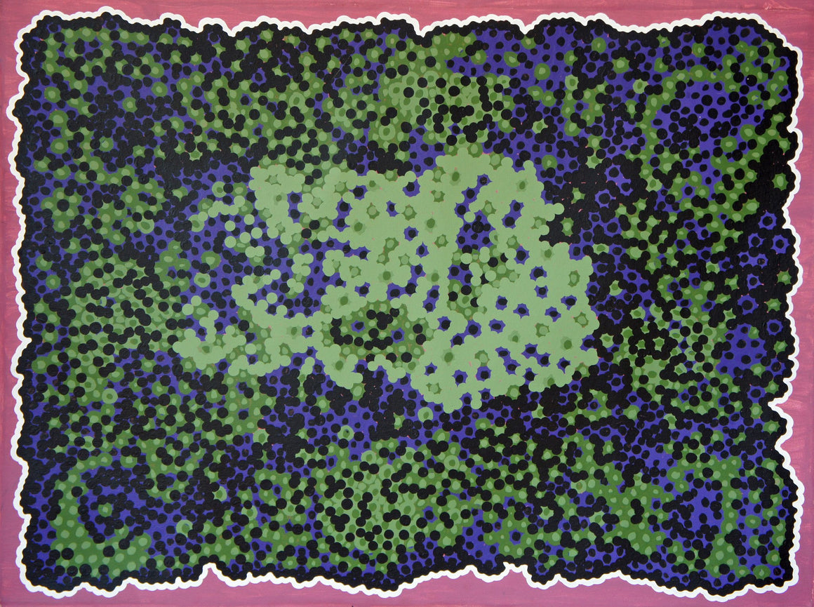 Claude Carter's - Girndi Bush Plum